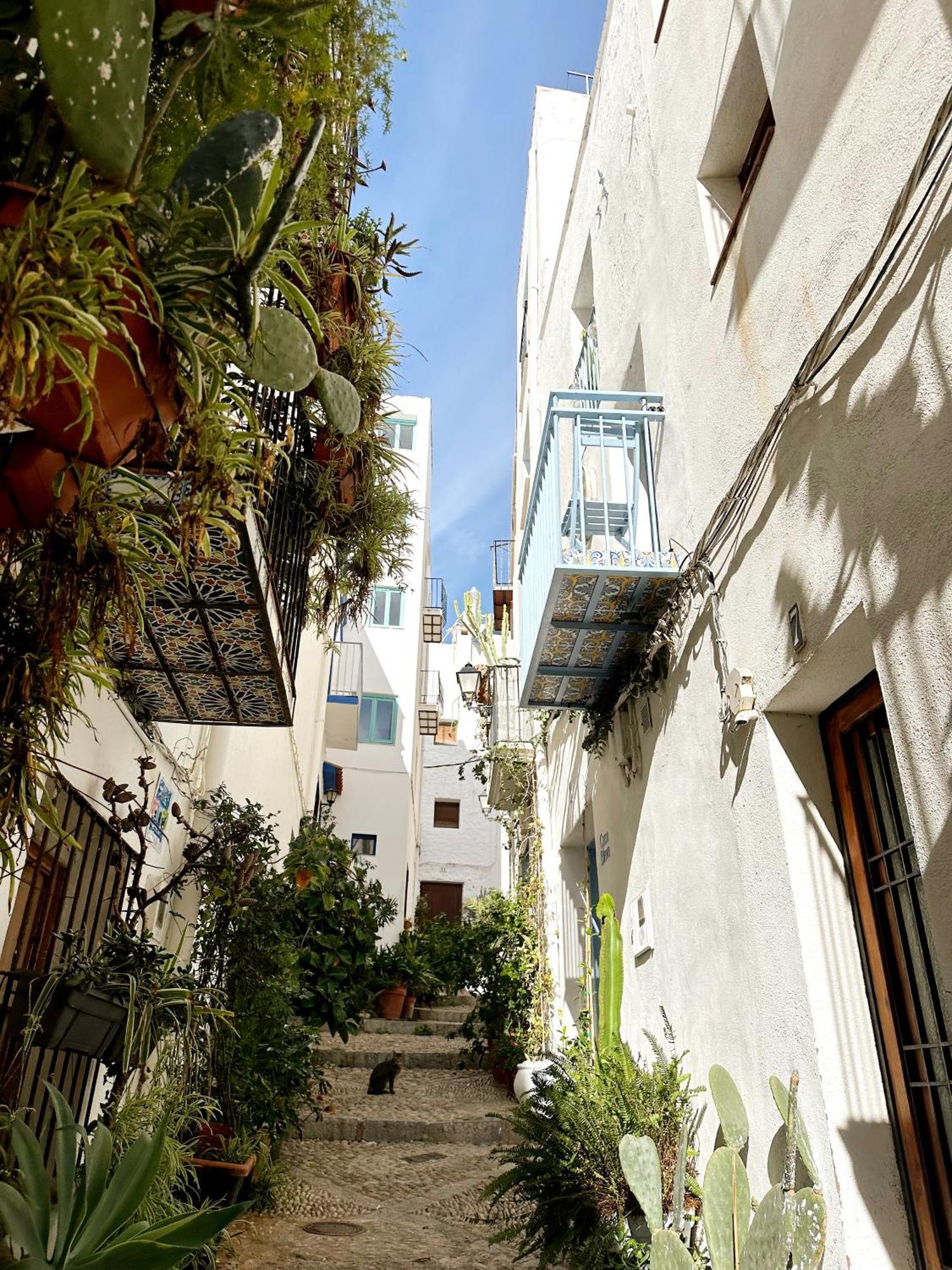 فيلا Casa Blava, Casco Antiguo De Peñíscola المظهر الخارجي الصورة