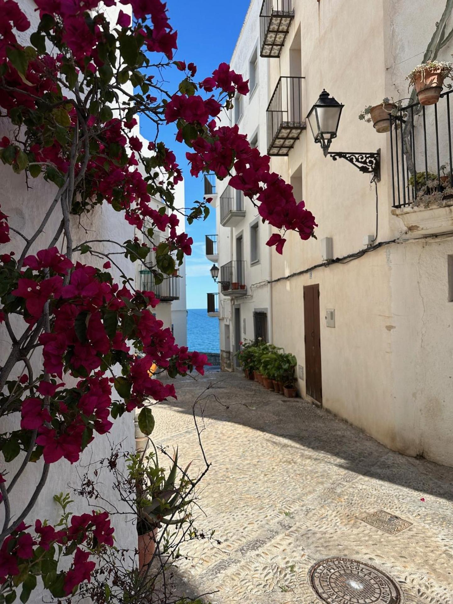 فيلا Casa Blava, Casco Antiguo De Peñíscola المظهر الخارجي الصورة